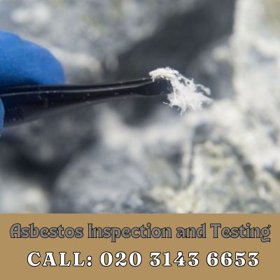 Comprehensive Asbestos Inspection and Testing Services in Merton